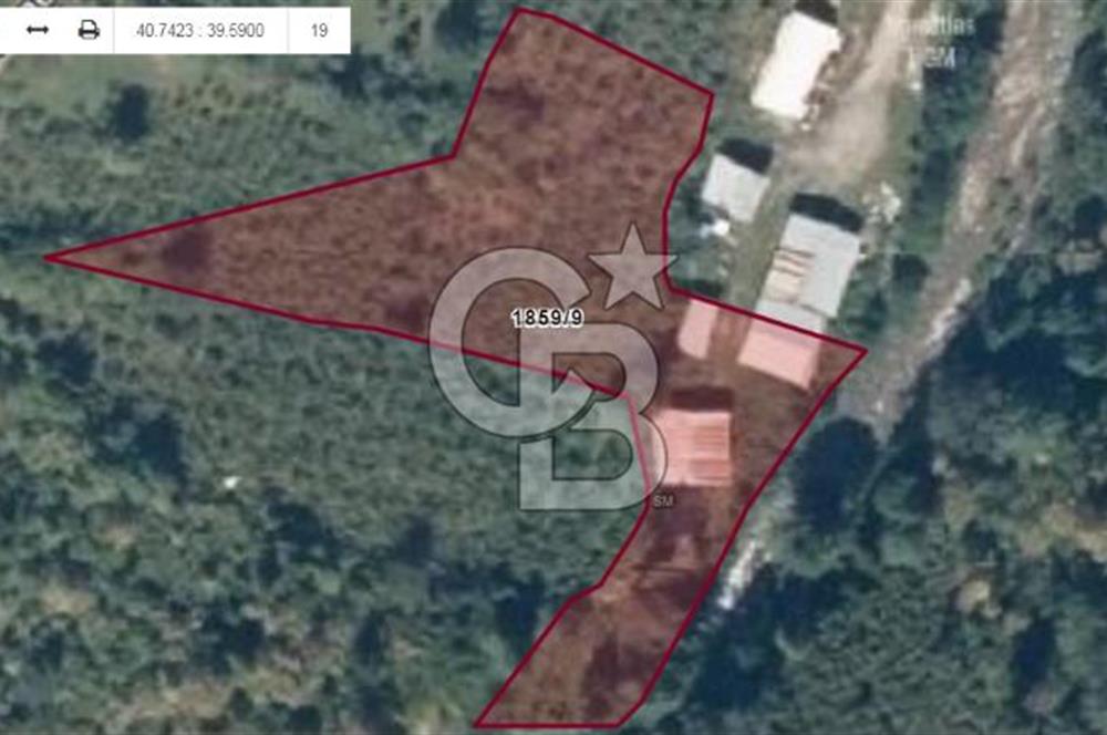 MAÇKA BAKIMLI'DA 3496 M2 DERE İÇİ SATILIK ARAZİ