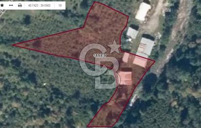 MAÇKA BAKIMLI'DA 3496 M2 DERE İÇİ SATILIK ARAZİ