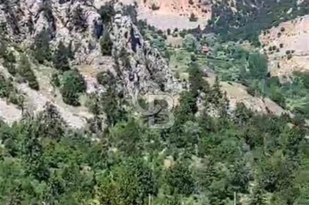 GEYİKBAYIRINDA DOĞA MANZARALI SATILIK TARLA