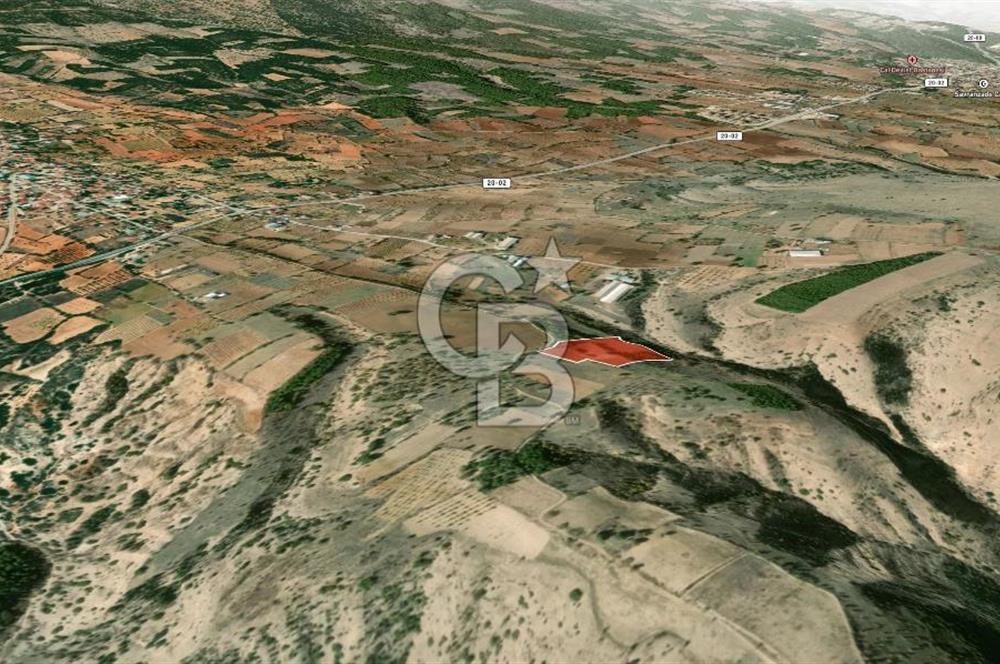 Çal Yukarıseyitte Satılık Tarla Yerleşime ve çal tokilere yakın