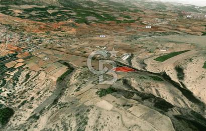 Çal Yukarıseyitte Satılık Tarla Yerleşime ve çal tokilere yakın