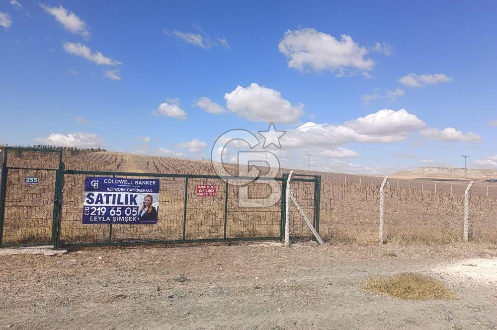 MAHMATLI KONYA YOLU KENARINDA SATILIK 22.979 M2 TEK TAPU TARLA
