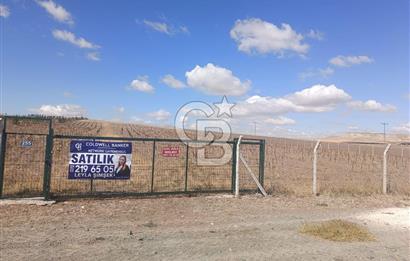 MAHMATLI KONYA YOLU KENARINDA SATILIK 22.979 M2 TEK TAPU TARLA