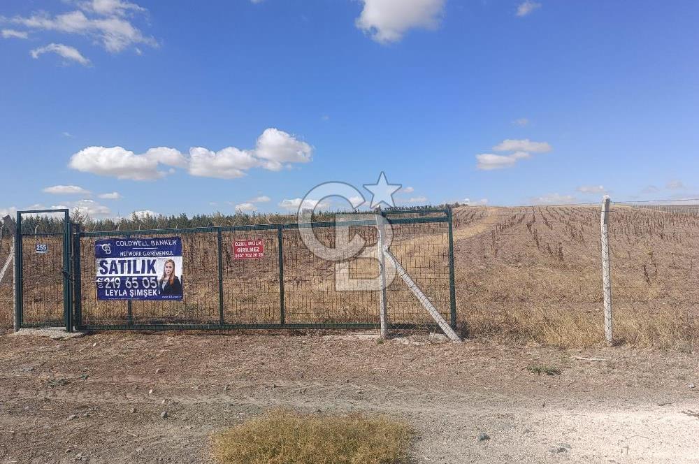 MAHMATLI KONYA YOLU KENARINDA SATILIK 22.979 M2 TEK TAPU TARLA