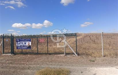 MAHMATLI KONYA YOLU KENARINDA SATILIK 22.979 M2 TEK TAPU TARLA