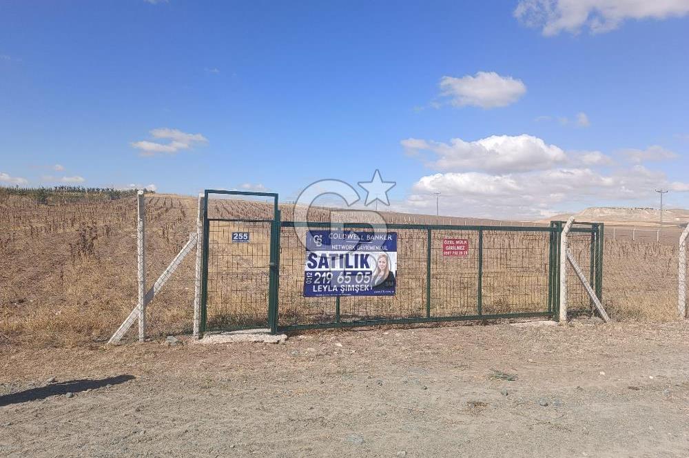 MAHMATLI KONYA YOLU KENARINDA SATILIK 22.979 M2 TEK TAPU TARLA