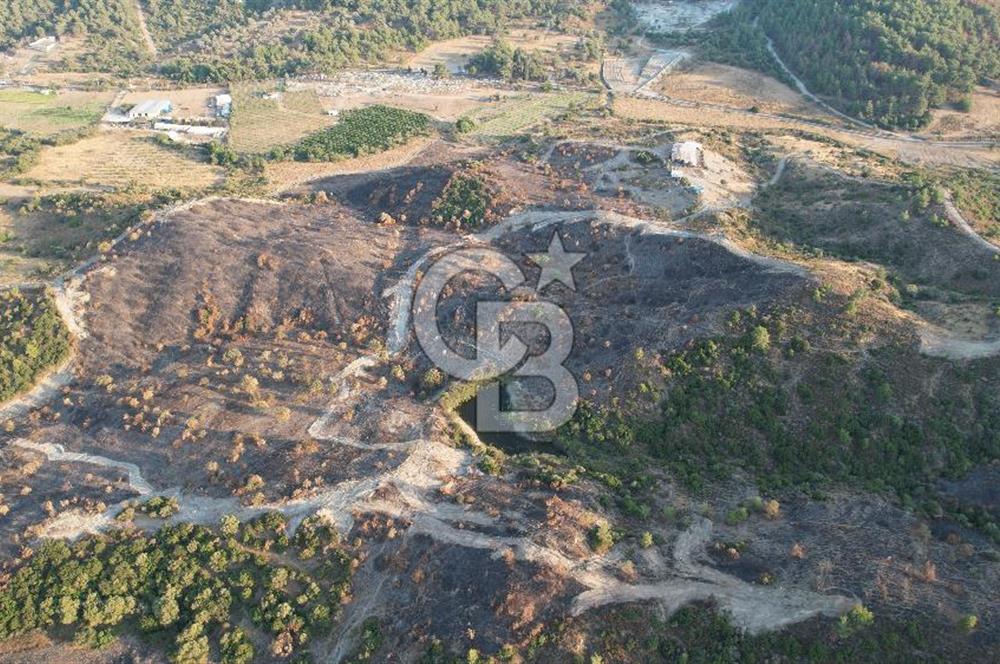 Seferihisar Kavakdere'de Hayvancılık ve GES Projesine Uygun Satılık Arazi