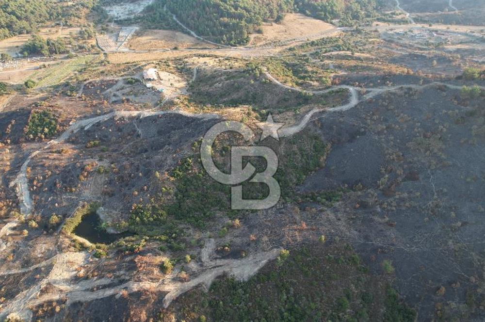 Seferihisar Kavakdere'de Hayvancılık ve GES Projesine Uygun Satılık Arazi