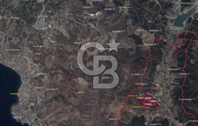 Seferihisar Kavakdere'de Hayvancılık ve GES Projesine Uygun Satılık Arazi