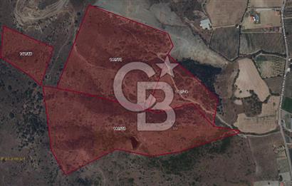 Seferihisar Kavakdere'de Hayvancılık ve GES Projesine Uygun Satılık Arazi