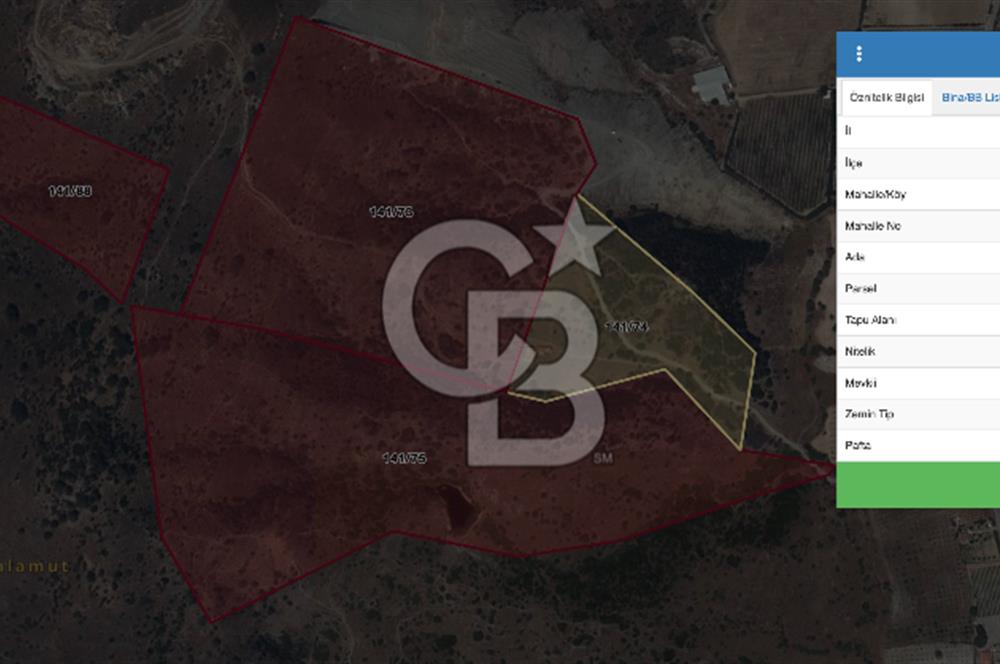 Seferihisar Kavakdere'de Hayvancılık ve GES Projesine Uygun Satılık Arazi