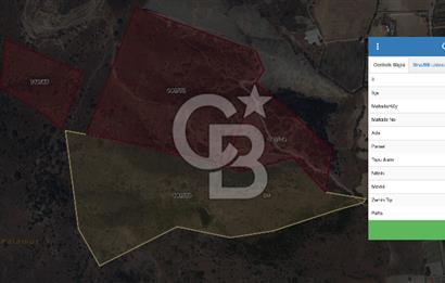 Seferihisar Kavakdere'de Hayvancılık ve GES Projesine Uygun Satılık Arazi