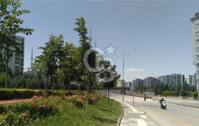 YENİMAHALLE SUSUZ BELÖREN MEVKİ 610 M2 HİSSE
