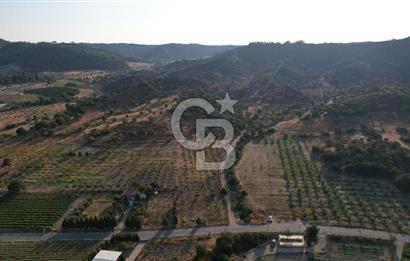 Seferihisar Kavakdere'de Hayvancılık ve GES Projesine Uygun Satılık Arazi