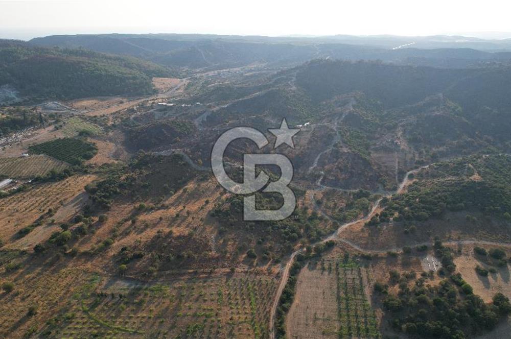Seferihisar Kavakdere'de Hayvancılık ve GES Projesine Uygun Satılık Arazi