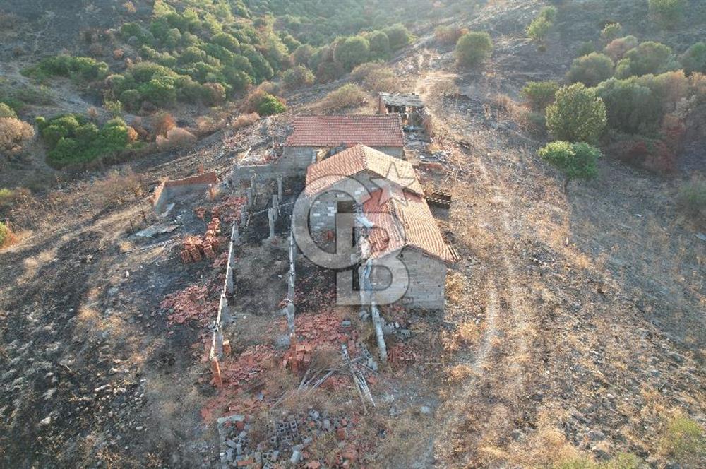 Seferihisar Kavakdere'de Hayvancılık ve GES Projesine Uygun Satılık Arazi