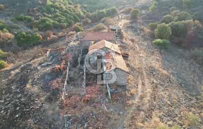 Seferihisar Kavakdere'de Hayvancılık ve GES Projesine Uygun Satılık Arazi