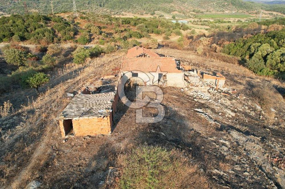 Seferihisar Kavakdere'de Hayvancılık ve GES Projesine Uygun Satılık Arazi