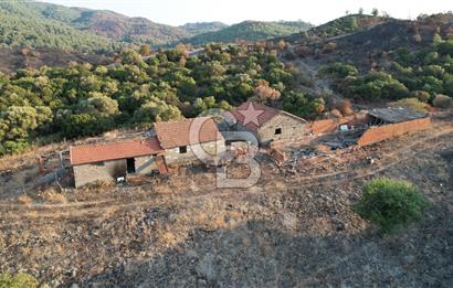 Seferihisar Kavakdere'de Hayvancılık ve GES Projesine Uygun Satılık Arazi