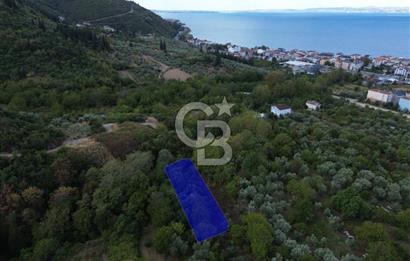 CB ENVOY | Karamürsel Ereğli'de 885 m2 İmarlı Arsa