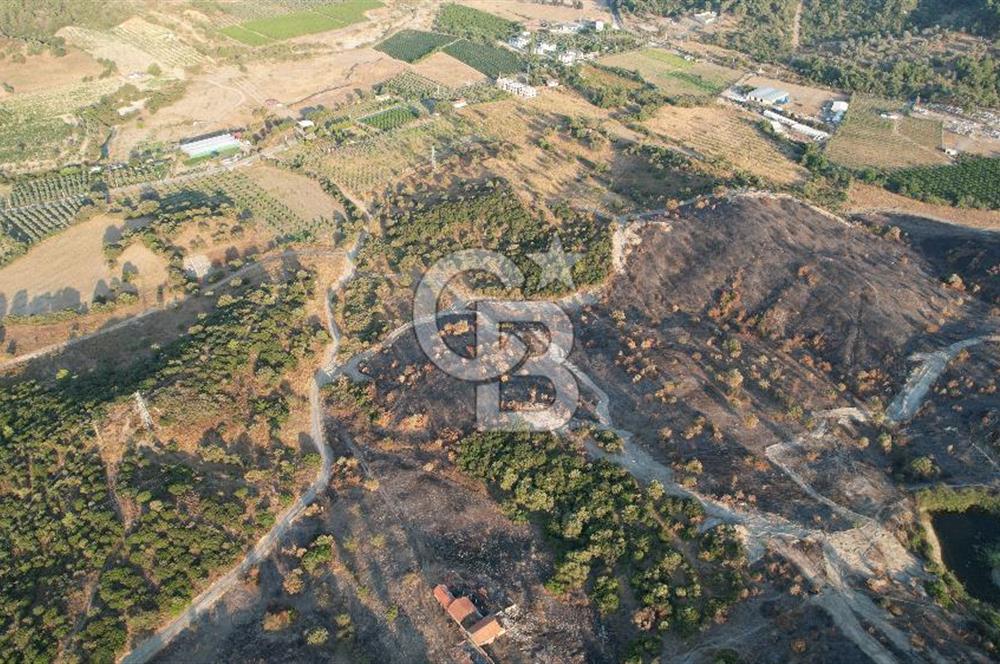 Seferihisar Kavakdere'de Hayvancılık ve GES Projesine Uygun Satılık Arazi
