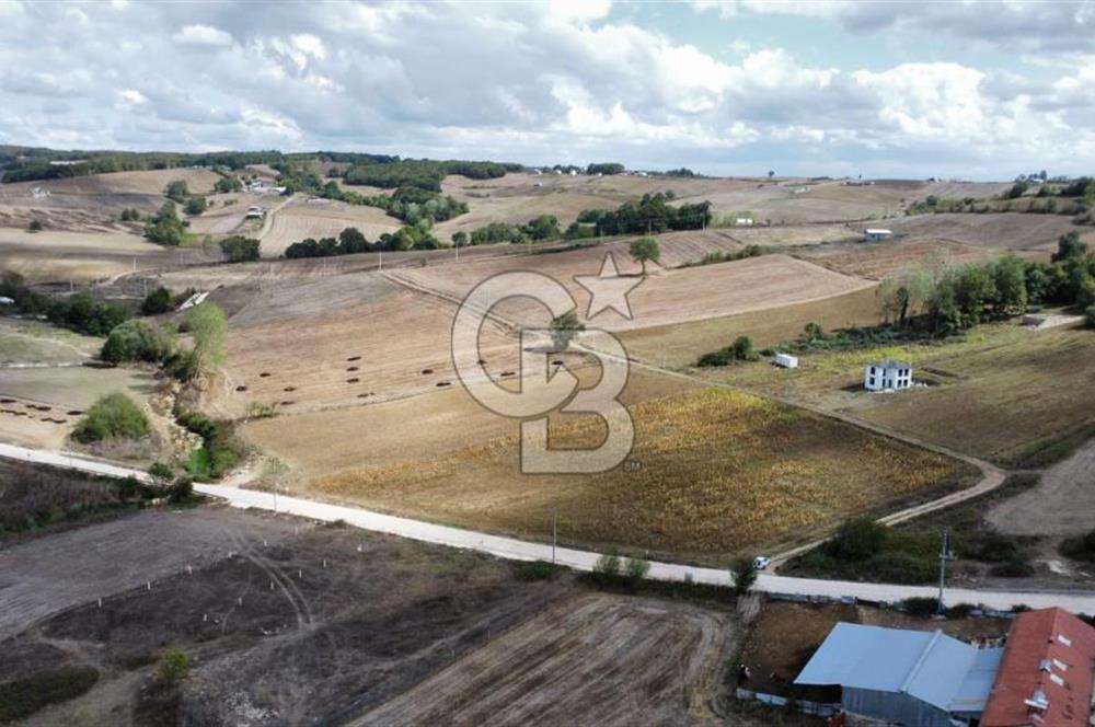 DERİNCE ÇAVUŞLU'DA 9563 m² %5 İMARLI 3 CEPHELİ SATILIK TARLA