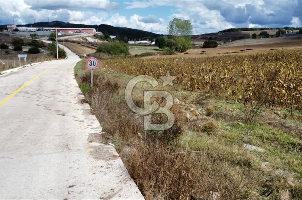 DERİNCE ÇAVUŞLU'DA 9563 m² %5 İMARLI 3 CEPHELİ SATILIK TARLA