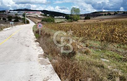 DERİNCE ÇAVUŞLU'DA 9563 m² %5 İMARLI 3 CEPHELİ SATILIK TARLA