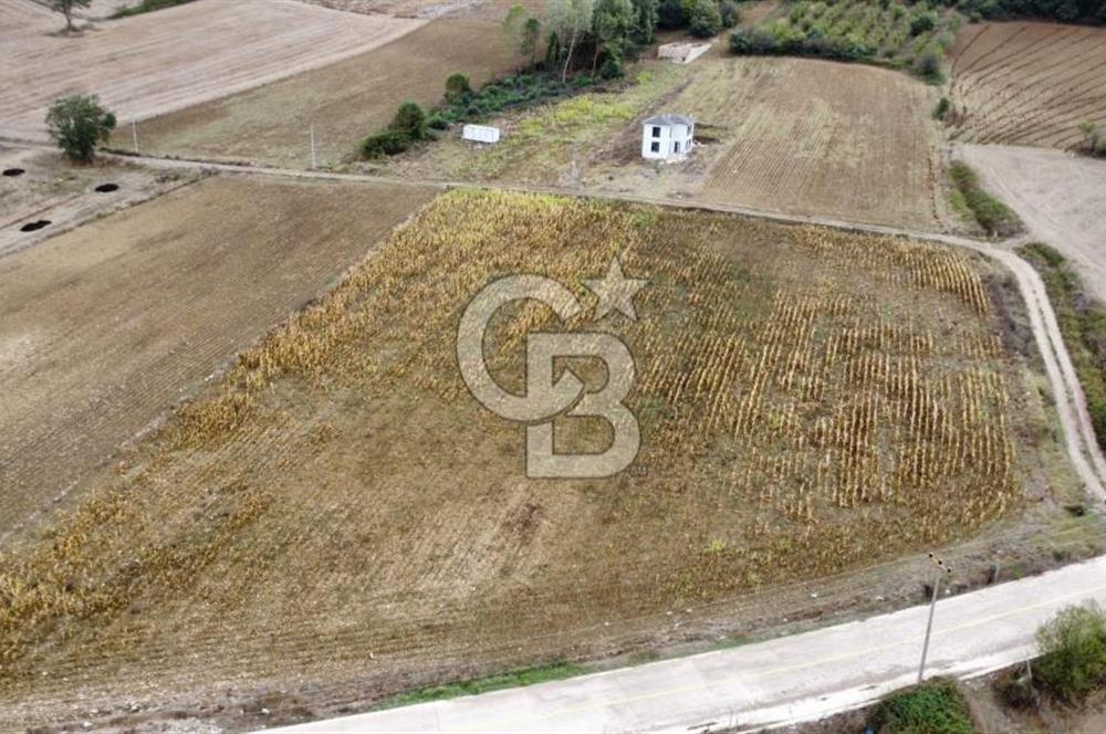 DERİNCE ÇAVUŞLU'DA 9563 m² %5 İMARLI 3 CEPHELİ SATILIK TARLA