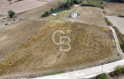 DERİNCE ÇAVUŞLU'DA 9563 m² %5 İMARLI 3 CEPHELİ SATILIK TARLA