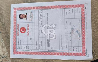 BAŞİSKELE BARBAROS'TA SATILIK 4+1 DUBLEKS DENİZ MANZARALI DAİRE
