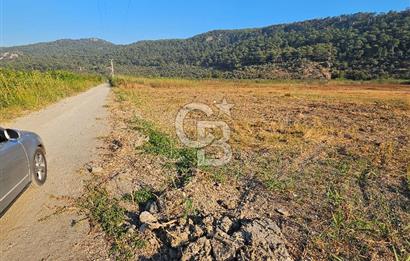 Ortaca Sarıgerme’de Yüksek Getiri Potansiyelli Yatırımlık Tarla
