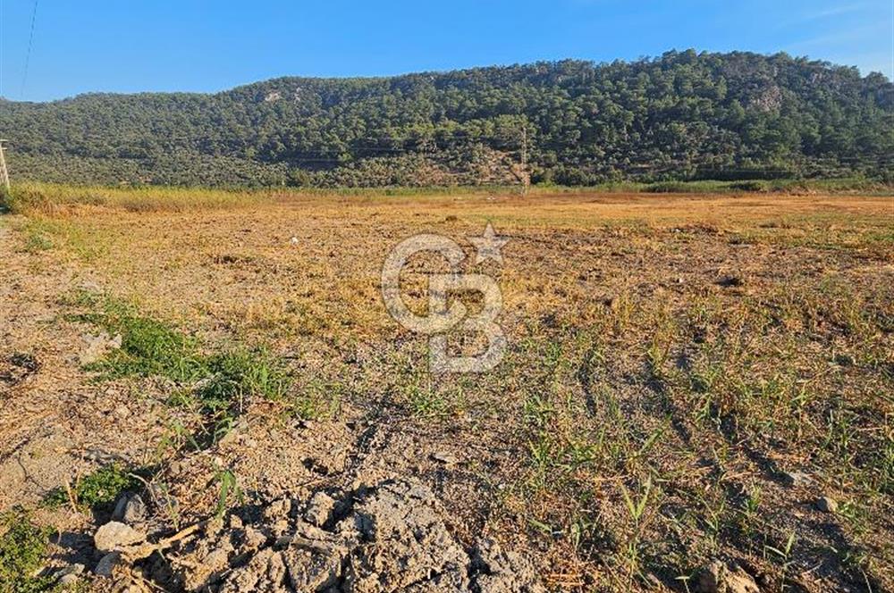 Ortaca Sarıgerme’de Yüksek Getiri Potansiyelli Yatırımlık Tarla
