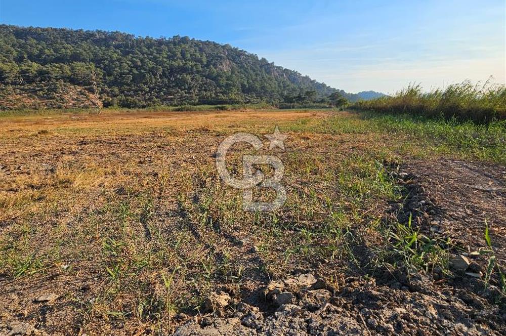 Ortaca Sarıgerme’de Yüksek Getiri Potansiyelli Yatırımlık Tarla