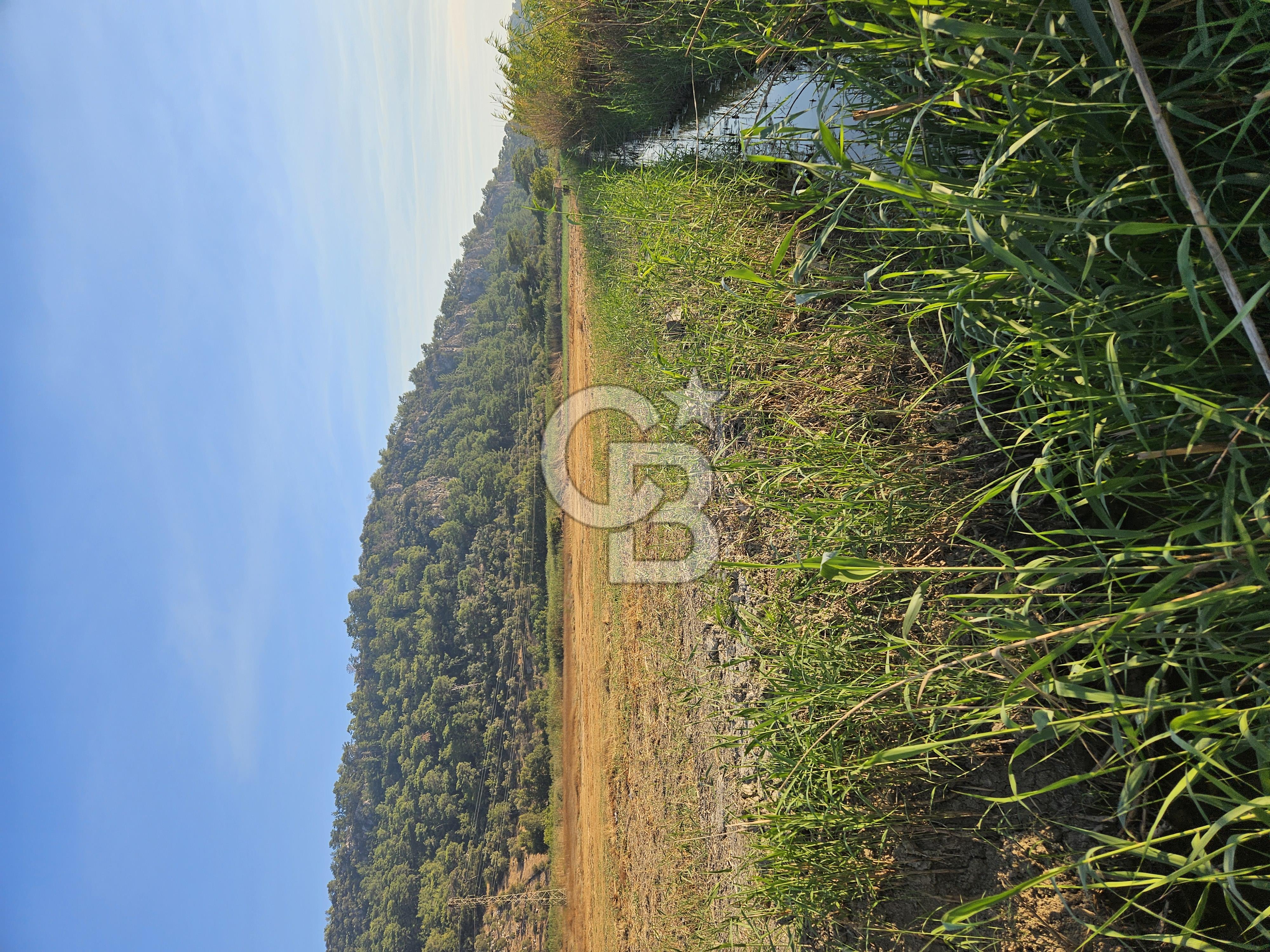 Ortaca Sarıgerme’de Yüksek Getiri Potansiyelli Yatırımlık Tarla