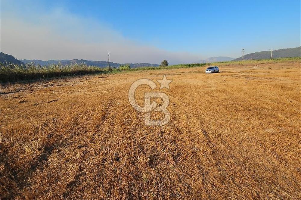Ortaca Sarıgerme’de Yüksek Getiri Potansiyelli Yatırımlık Tarla