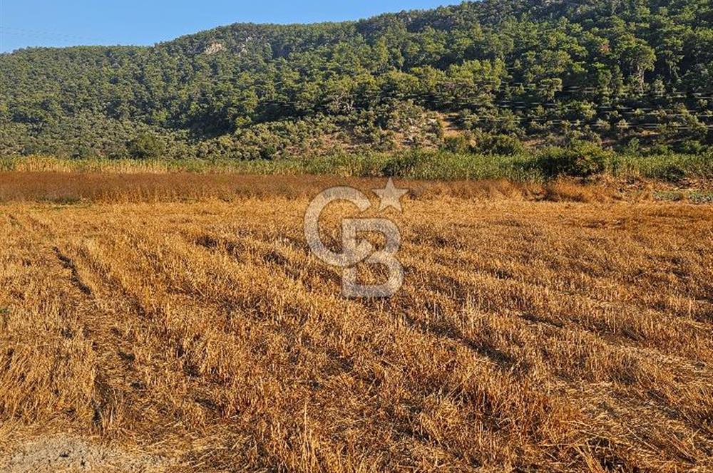 Ortaca Sarıgerme’de Yüksek Getiri Potansiyelli Yatırımlık Tarla