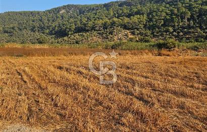 Ortaca Sarıgerme’de Yüksek Getiri Potansiyelli Yatırımlık Tarla