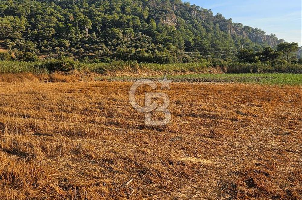 Ortaca Sarıgerme’de Yüksek Getiri Potansiyelli Yatırımlık Tarla