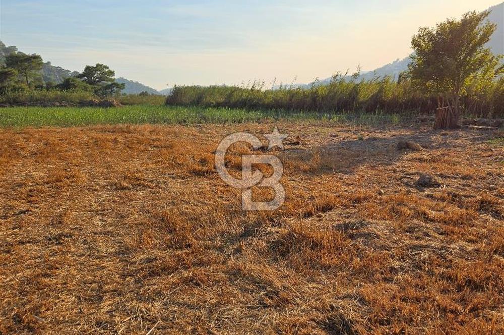 Ortaca Sarıgerme’de Yüksek Getiri Potansiyelli Yatırımlık Tarla