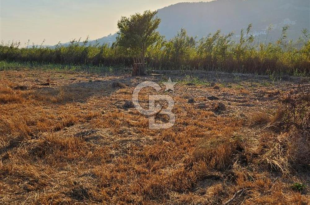 Ortaca Sarıgerme’de Yüksek Getiri Potansiyelli Yatırımlık Tarla