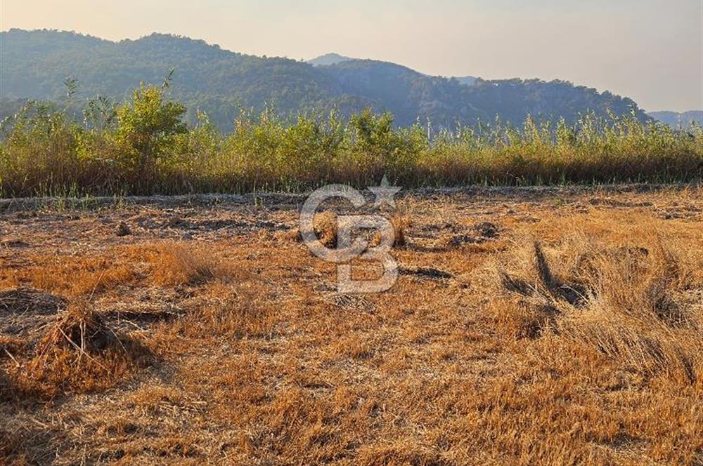 Ortaca Sarıgerme’de Yüksek Getiri Potansiyelli Yatırımlık Tarla