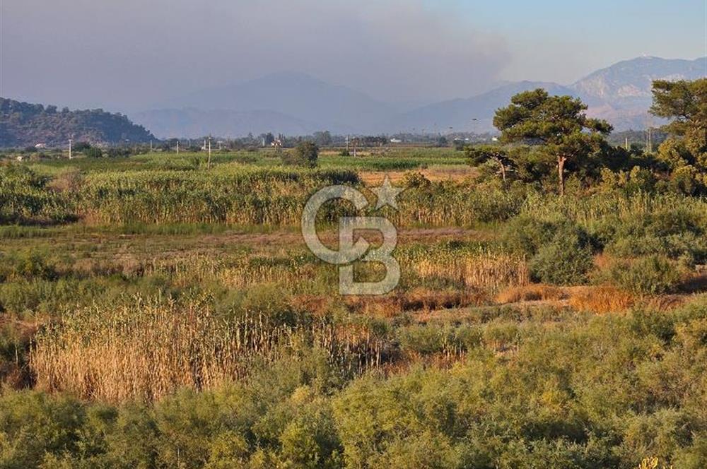 Ortaca Sarıgerme’de Yüksek Getiri Potansiyelli Yatırımlık Tarla