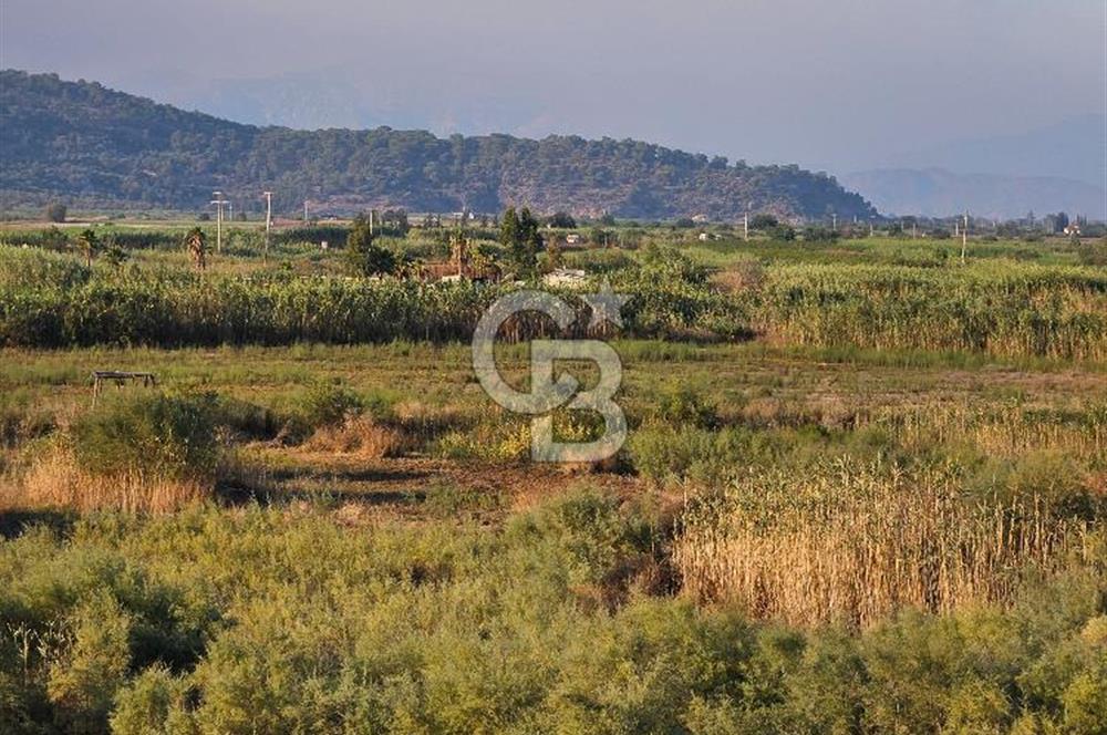 Ortaca Sarıgerme’de Yüksek Getiri Potansiyelli Yatırımlık Tarla