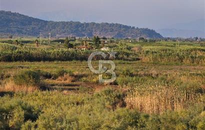 Ortaca Sarıgerme’de Yüksek Getiri Potansiyelli Yatırımlık Tarla