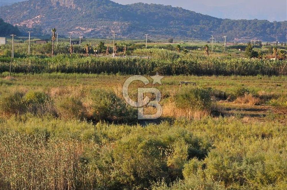 Ortaca Sarıgerme’de Yüksek Getiri Potansiyelli Yatırımlık Tarla