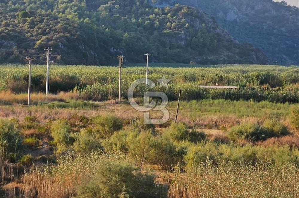 Ortaca Sarıgerme’de Yüksek Getiri Potansiyelli Yatırımlık Tarla