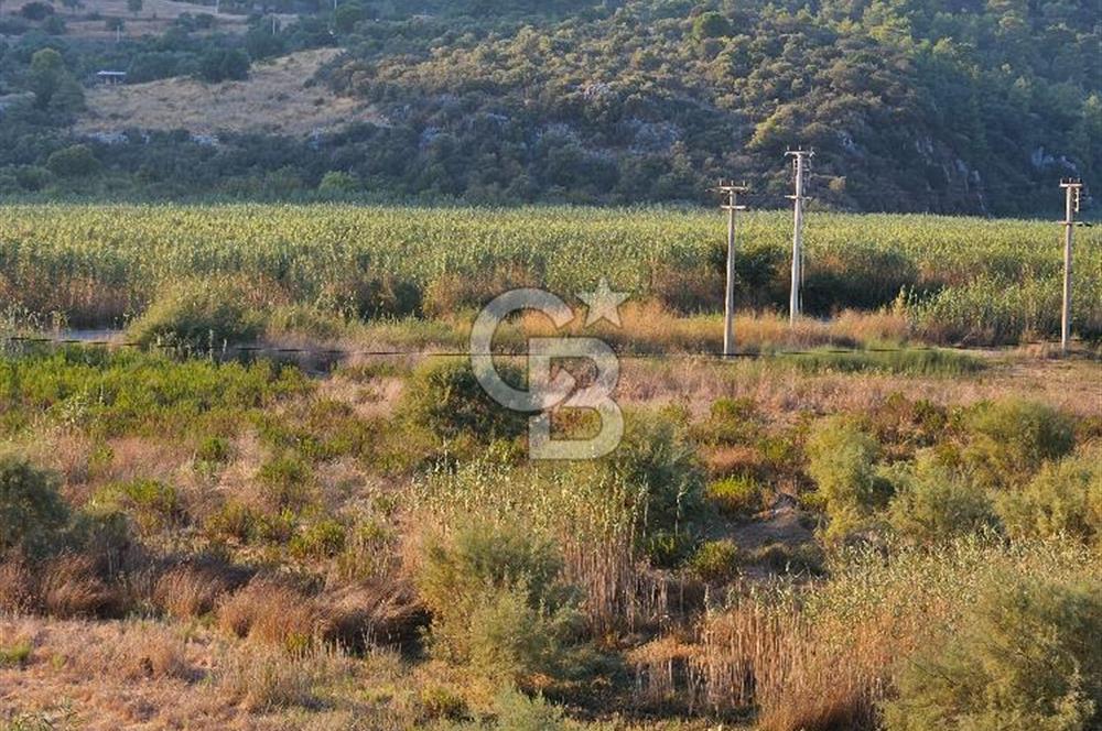 Ortaca Sarıgerme’de Yüksek Getiri Potansiyelli Yatırımlık Tarla