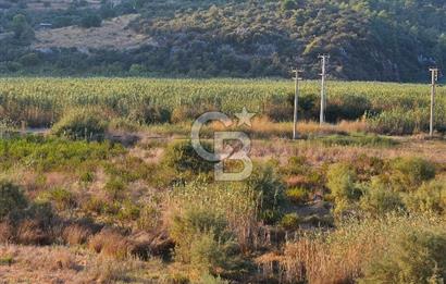 Ortaca Sarıgerme’de Yüksek Getiri Potansiyelli Yatırımlık Tarla