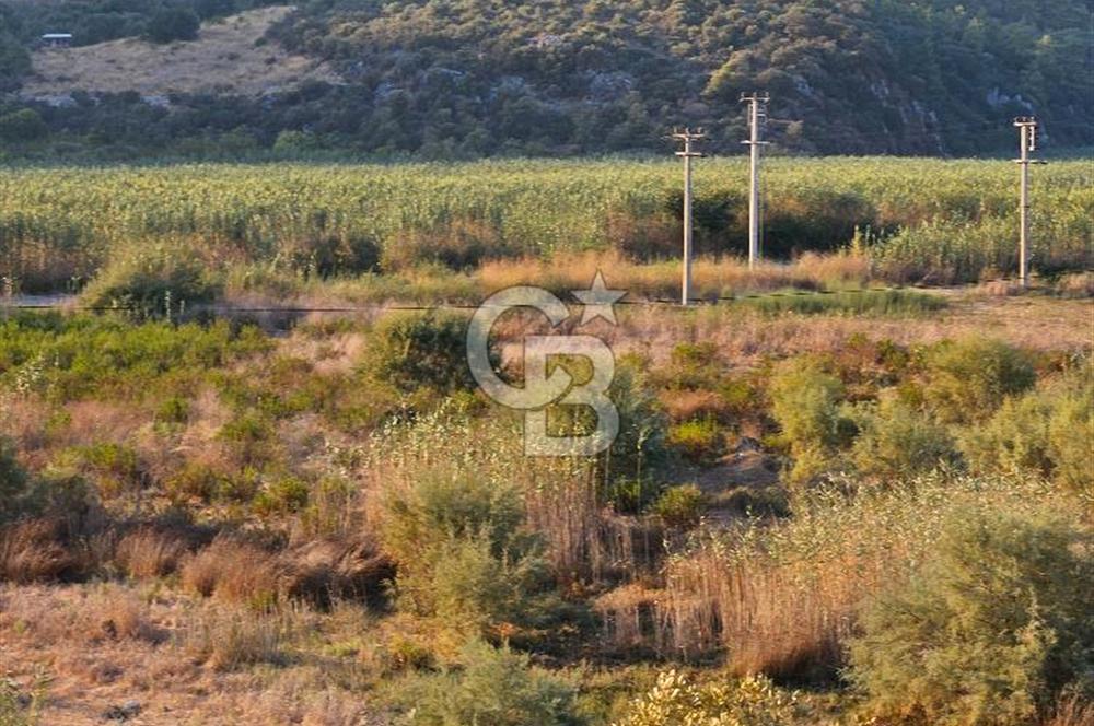 Ortaca Sarıgerme’de Yüksek Getiri Potansiyelli Yatırımlık Tarla